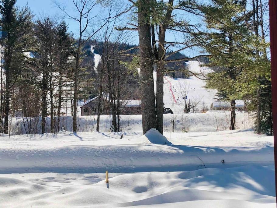 Attitash Mountain Village Studio - Slope View - Ski - Storyland 巴特利特 外观 照片